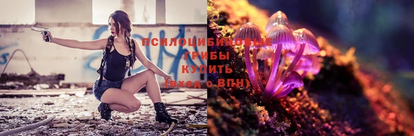 дурь Корсаков