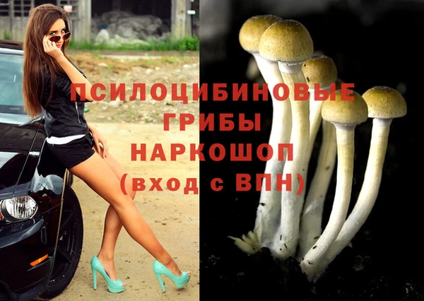 ALPHA PVP Коряжма