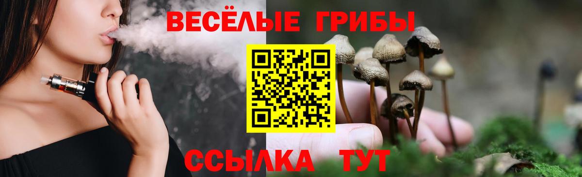 Галлюциногенные грибы MAGIC MUSHROOMS Кохма